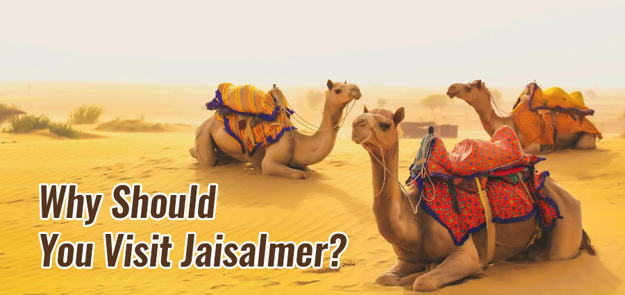 Why Should You Visit Jaisalmer?