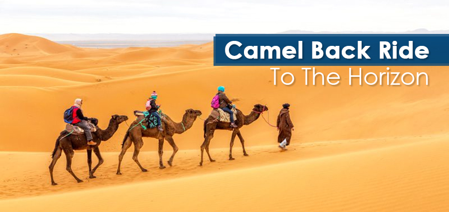 Camel Back Ride To The Horizon