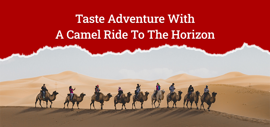 Taste Adventure With A Camel Ride To The Horizon