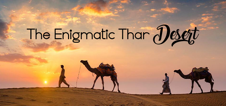 Enigmatic Thar Desert: